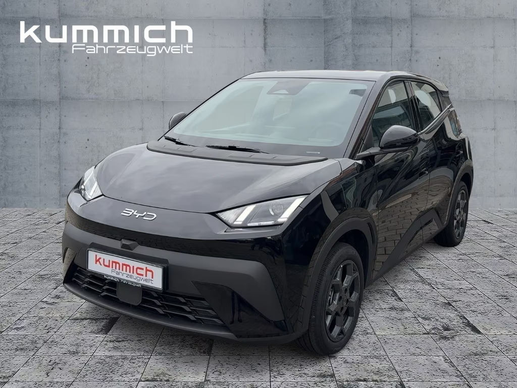 BYD Dolphin Surf