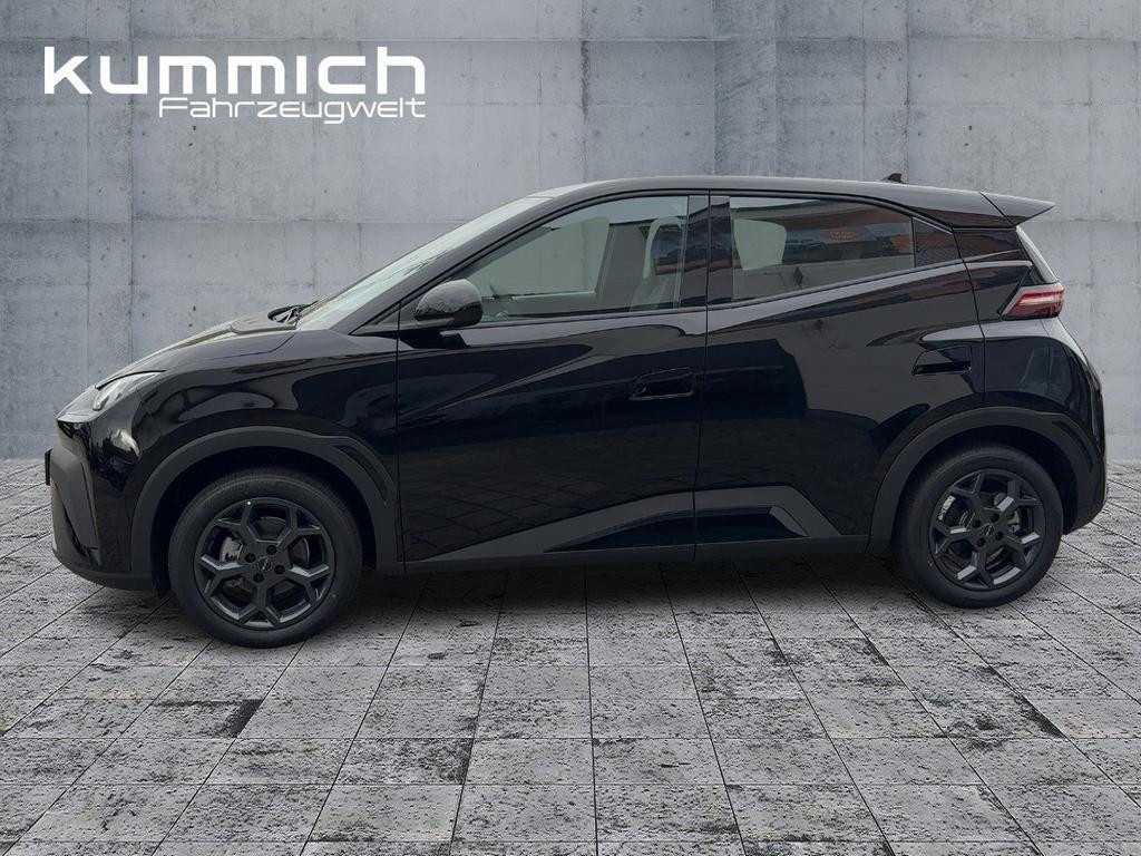 BYD Dolphin Surf