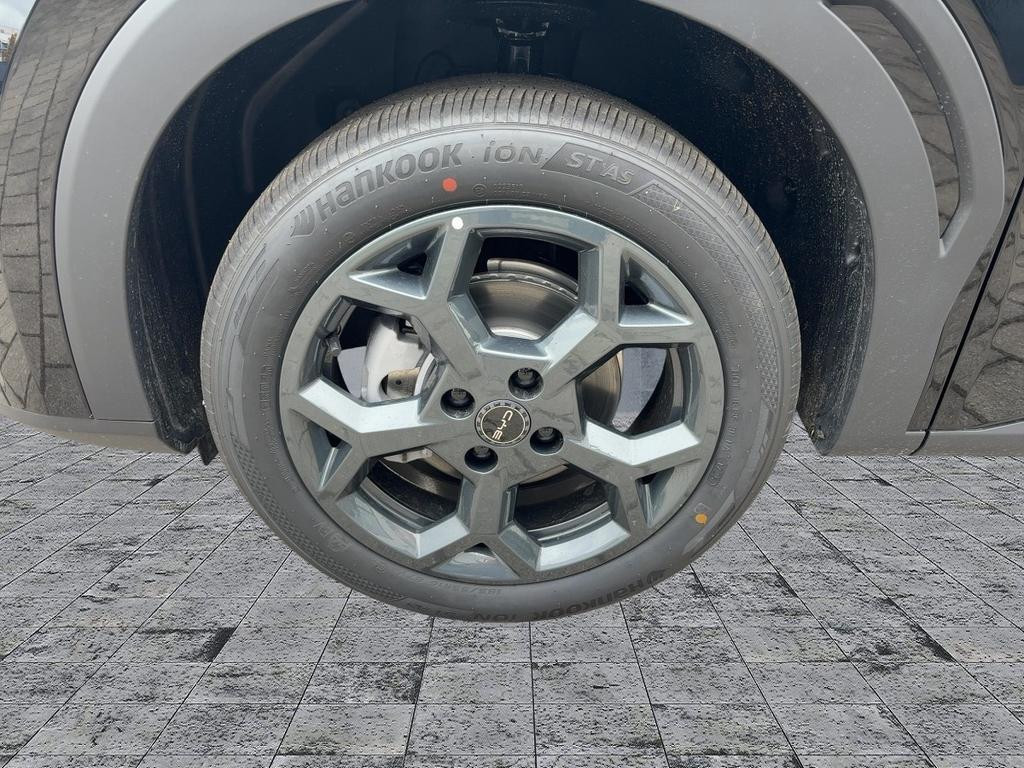 BYD Dolphin Surf