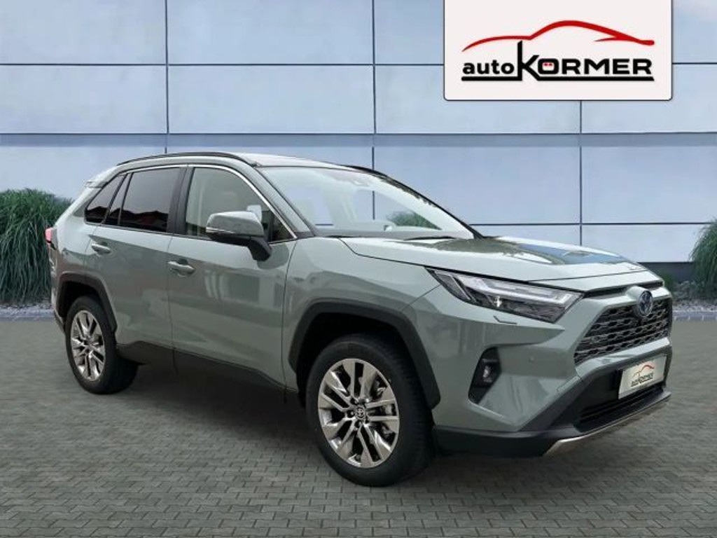 Toyota RAV4 Vierwielaandrijving Lounge Hybride