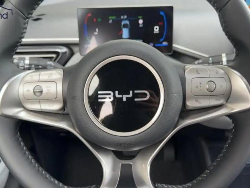BYD Dolphin Surf