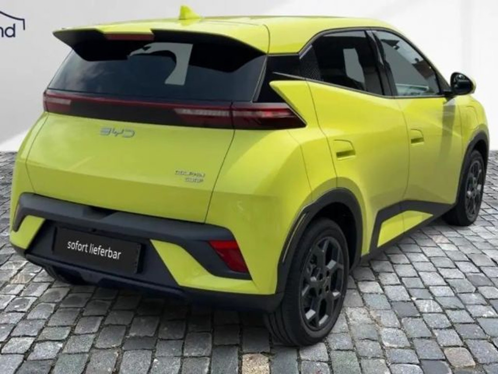 BYD Dolphin Surf