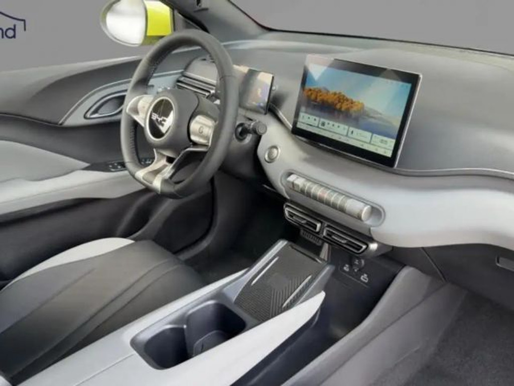 BYD Dolphin Surf