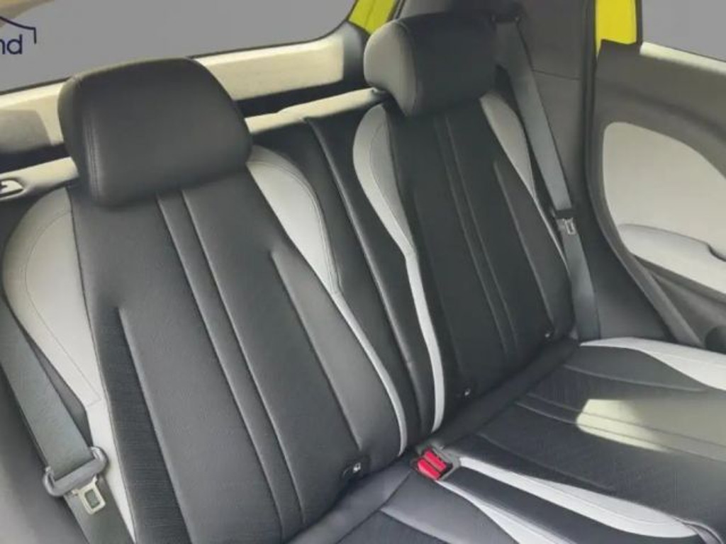 BYD Dolphin Surf