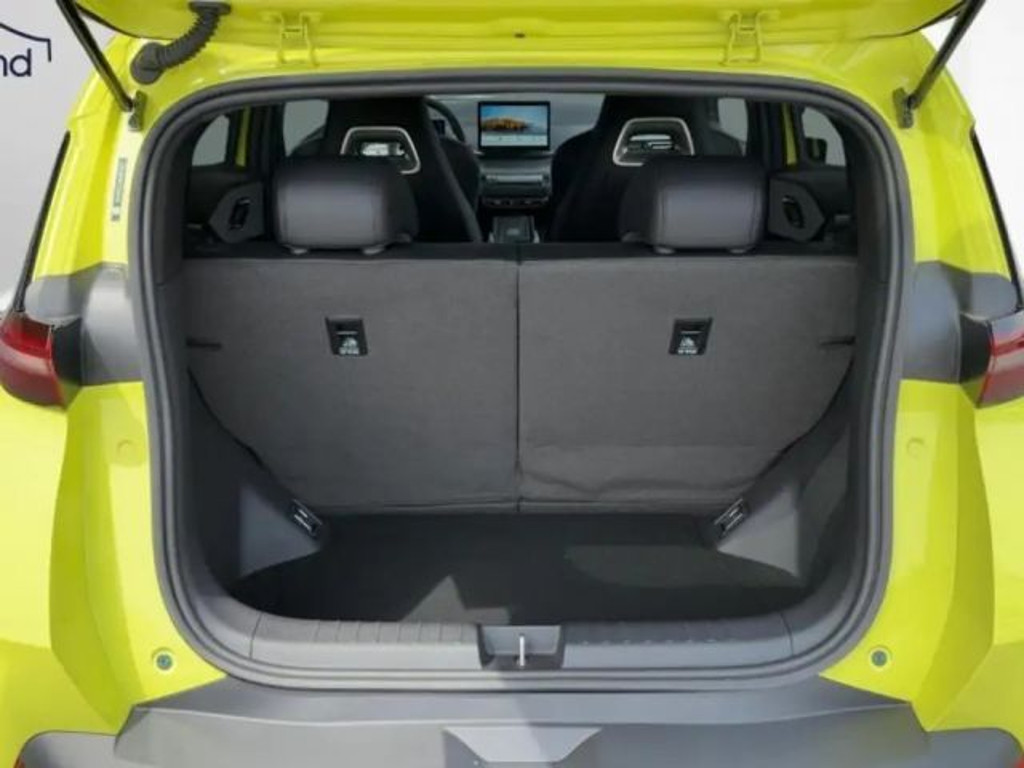 BYD Dolphin Surf