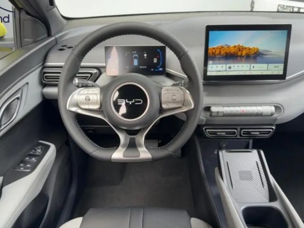BYD Dolphin Surf