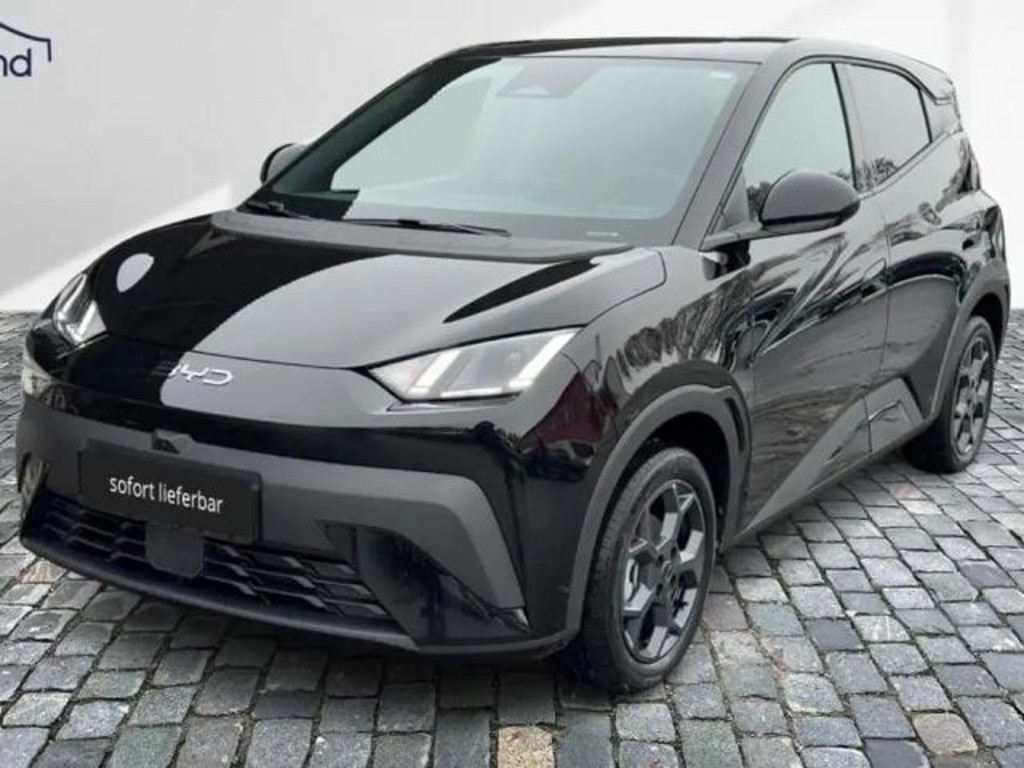 BYD Dolphin Surf Comfort