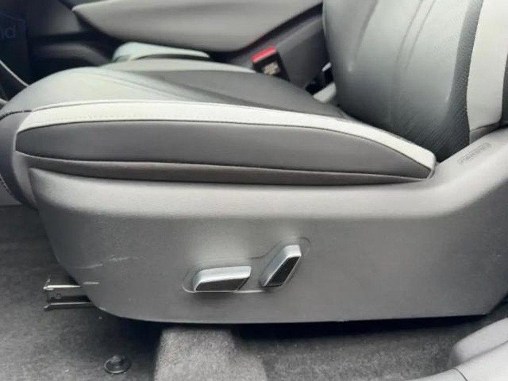 BYD Dolphin Surf