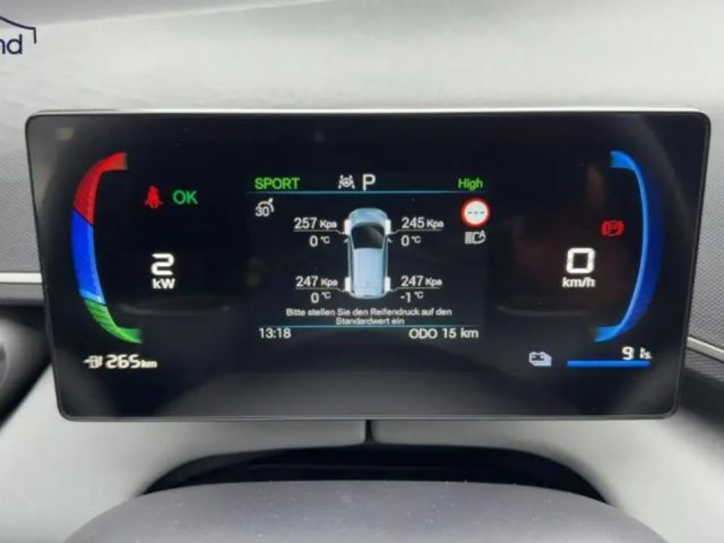 BYD Dolphin Surf