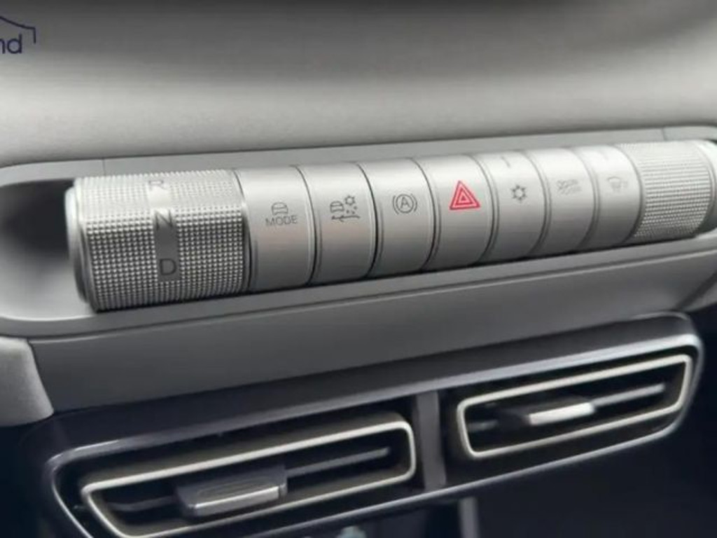BYD Dolphin Surf