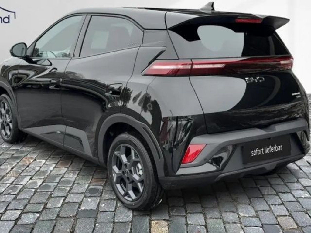 BYD Dolphin Surf