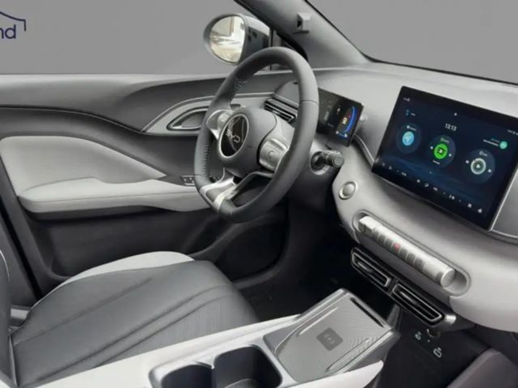 BYD Dolphin Surf