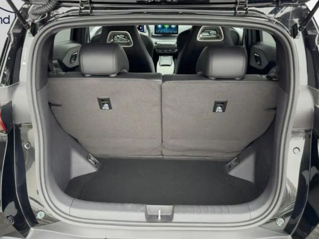 BYD Dolphin Surf