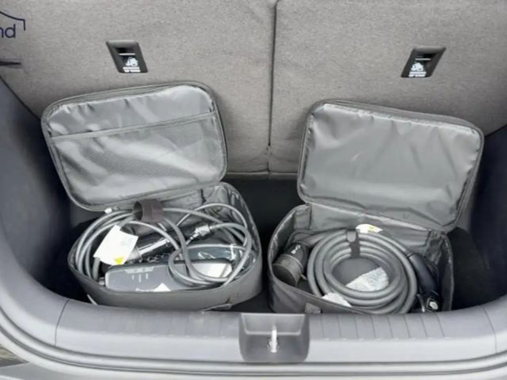 BYD Dolphin Surf