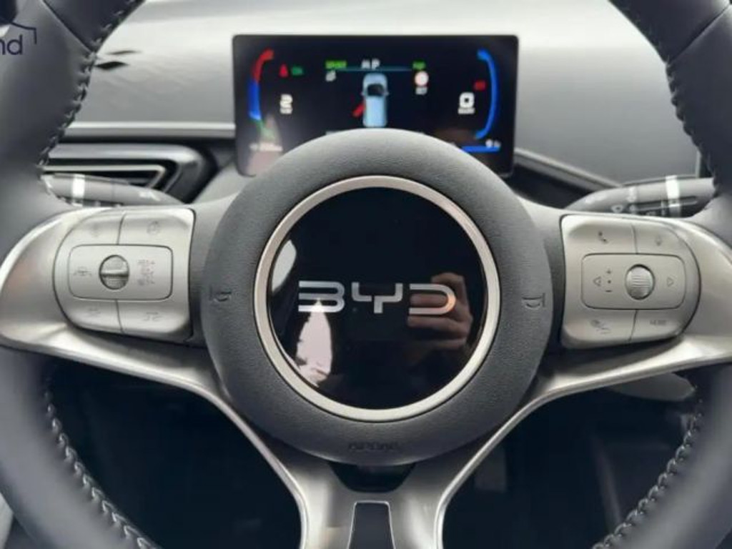 BYD Dolphin Surf