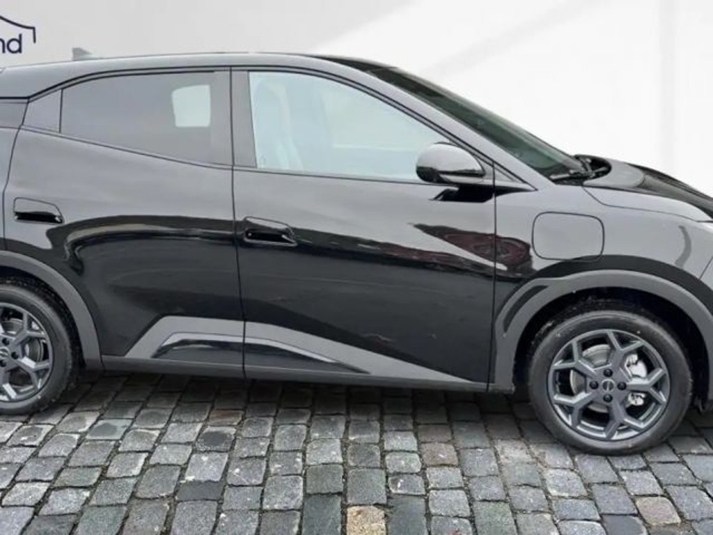 BYD Dolphin Surf