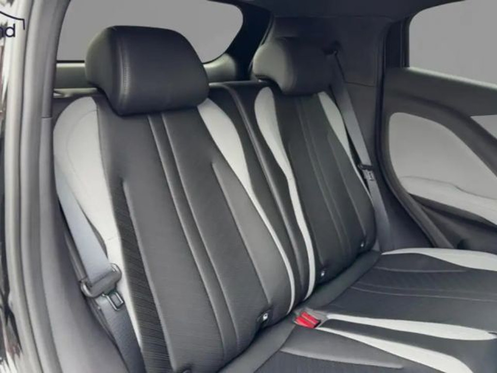BYD Dolphin Surf
