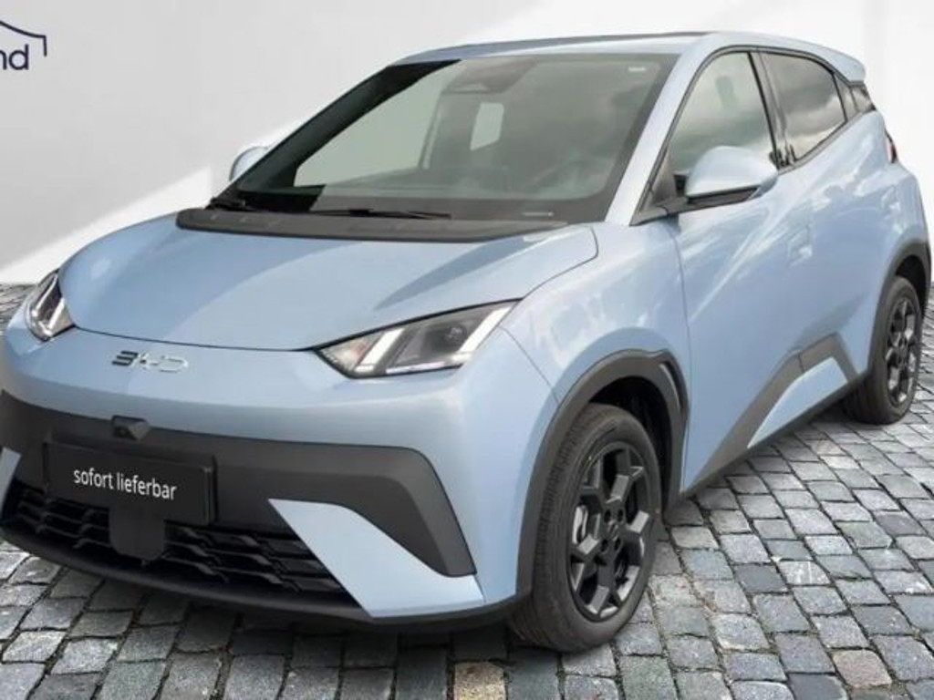 BYD Dolphin Surf Comfort