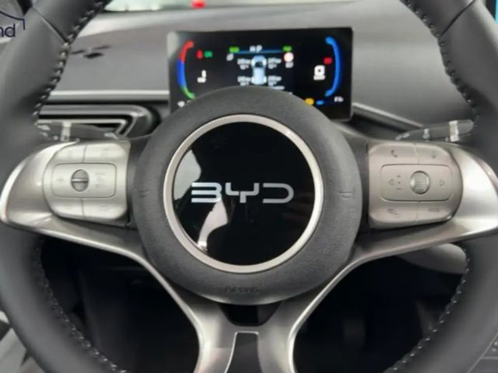 BYD Dolphin Surf