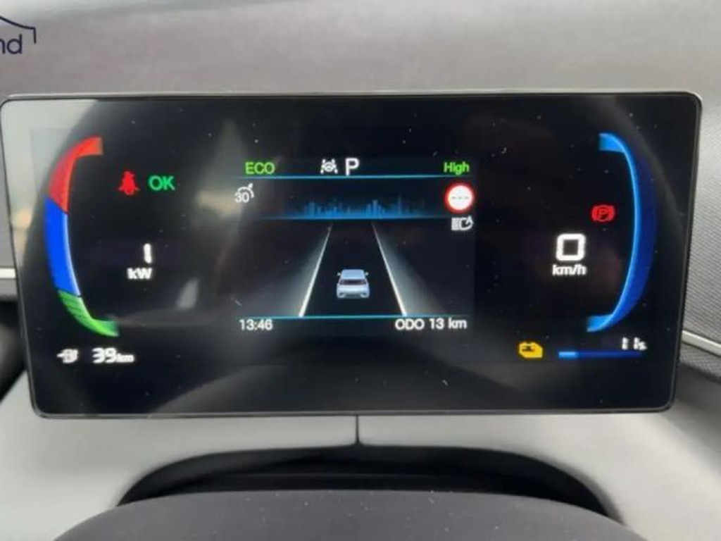 BYD Dolphin Surf