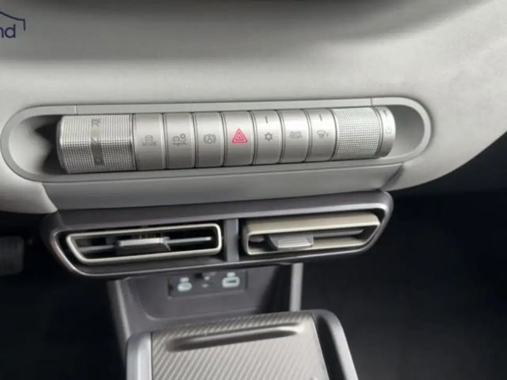 BYD Dolphin Surf