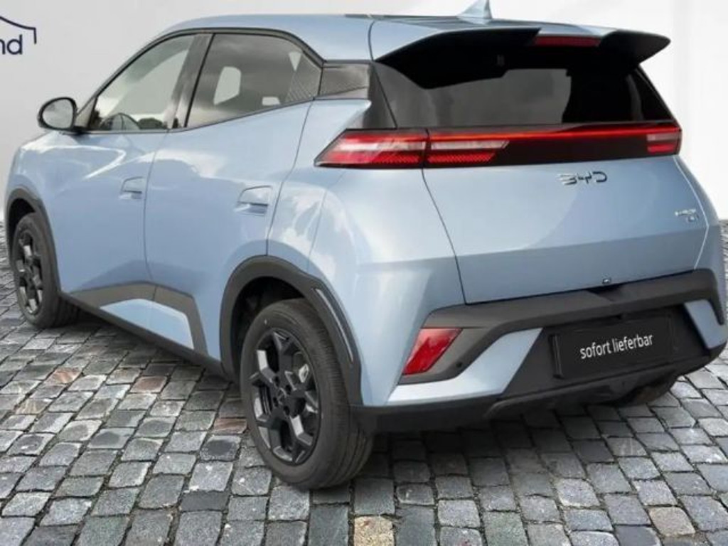 BYD Dolphin Surf
