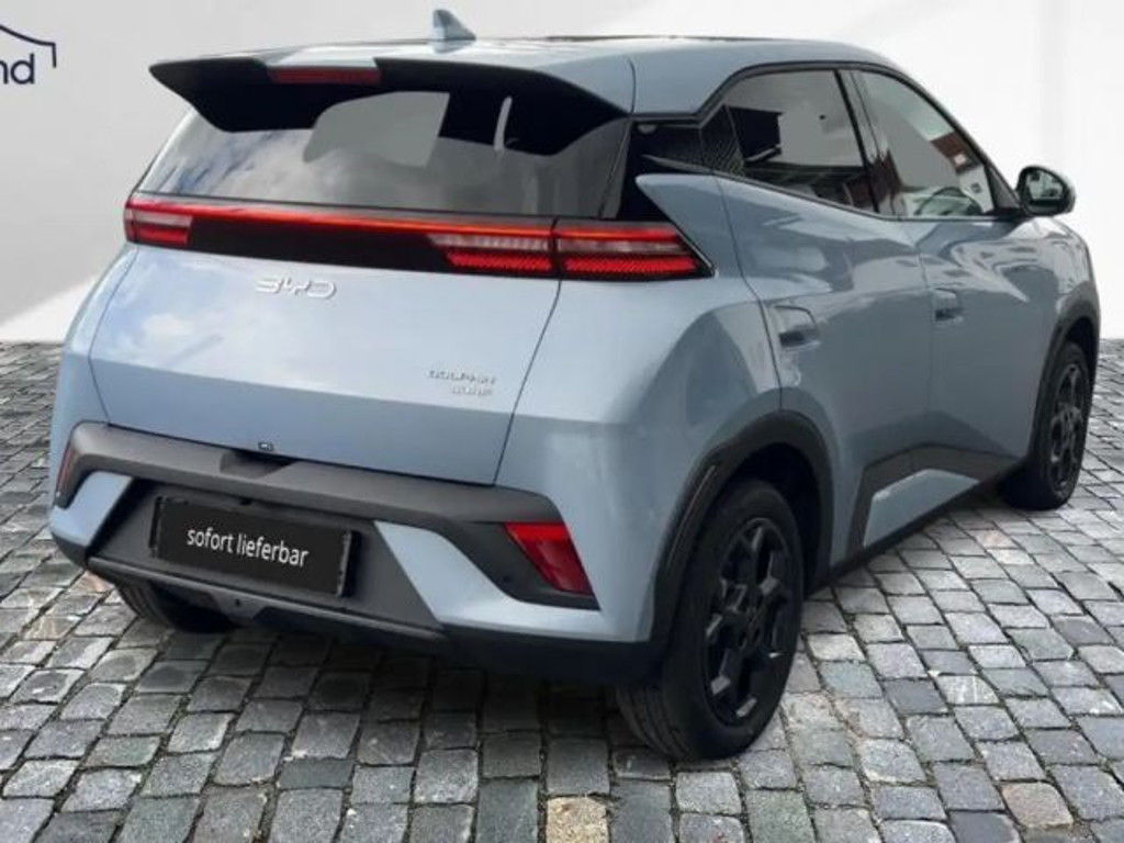 BYD Dolphin Surf