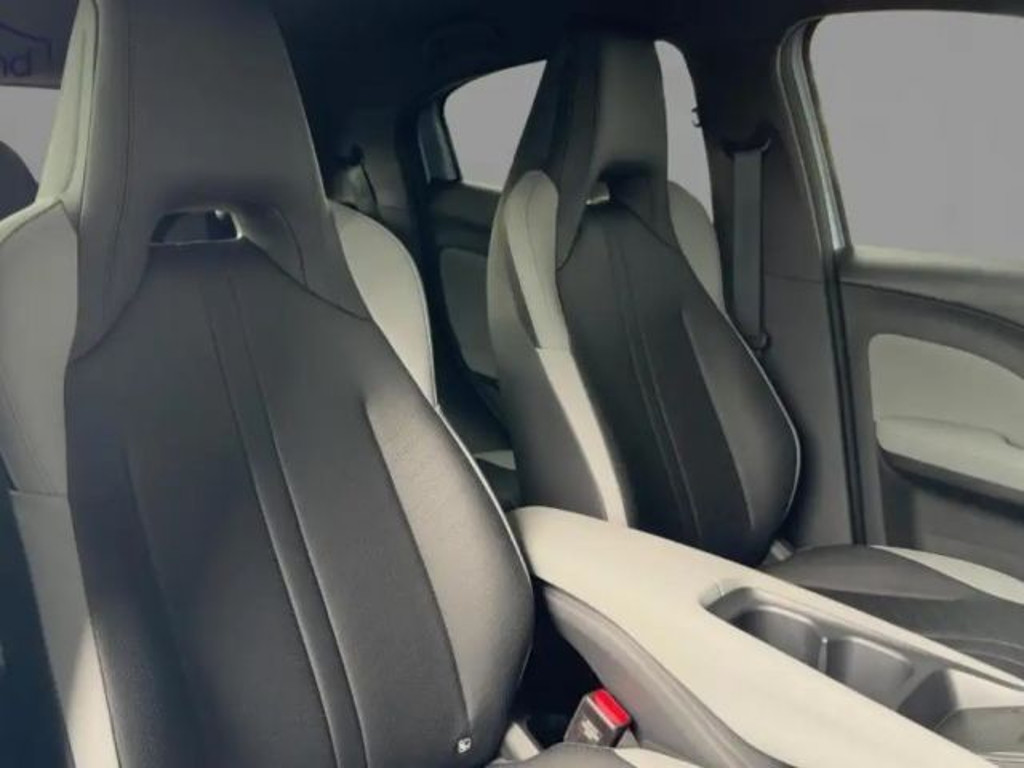 BYD Dolphin Surf