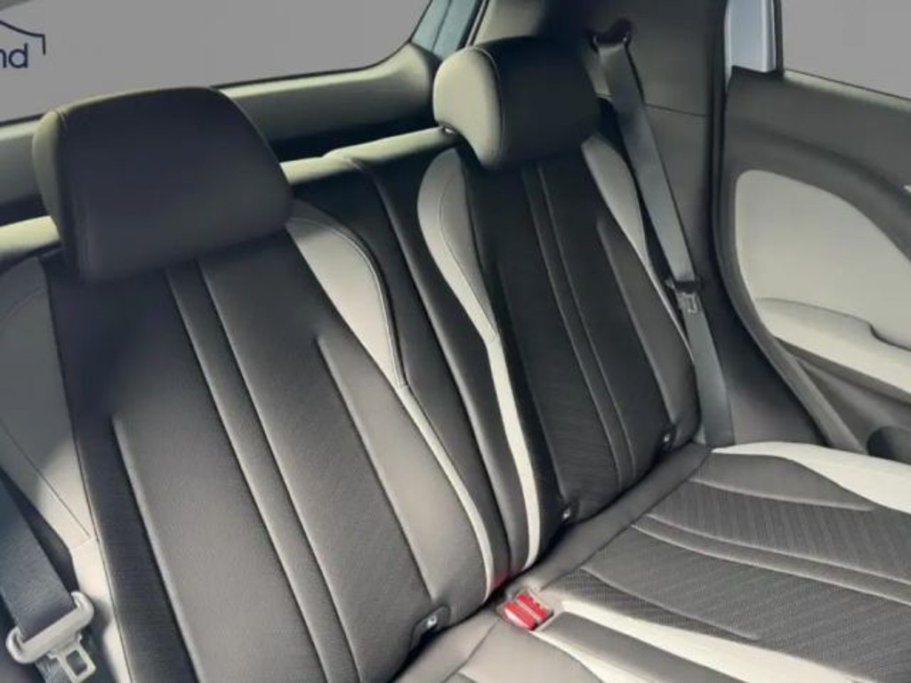 BYD Dolphin Surf