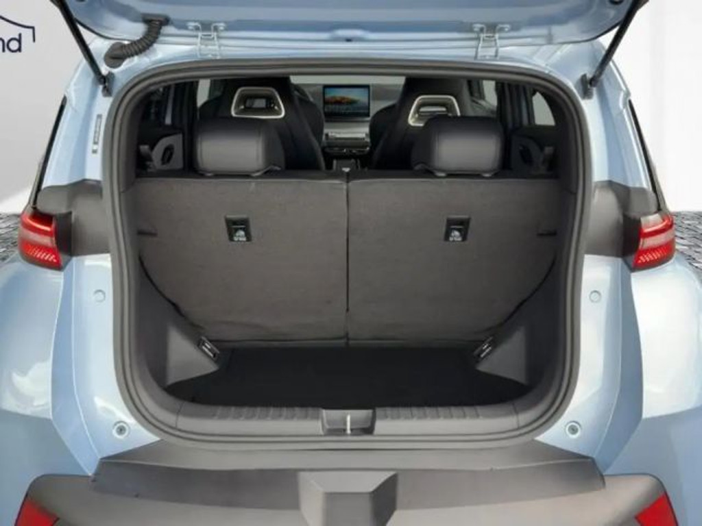 BYD Dolphin Surf