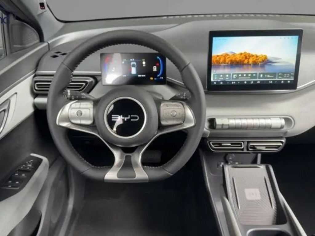 BYD Dolphin Surf
