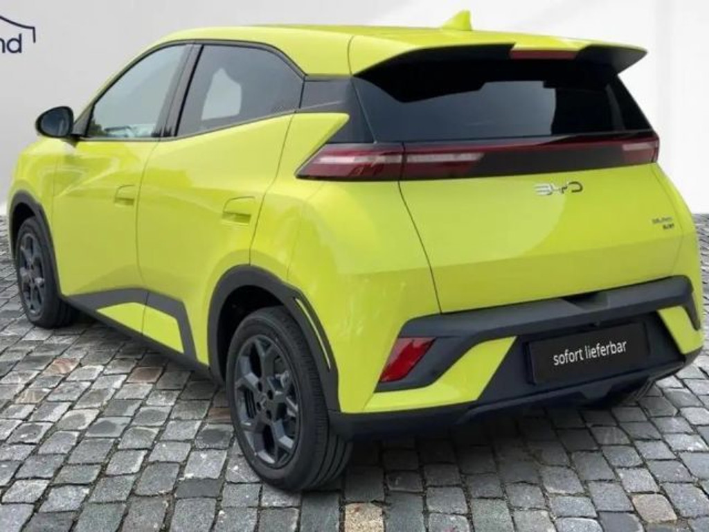 BYD Dolphin Surf