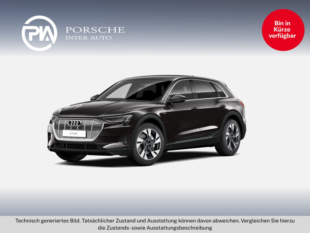 Audi e-tron Quattro Business 55