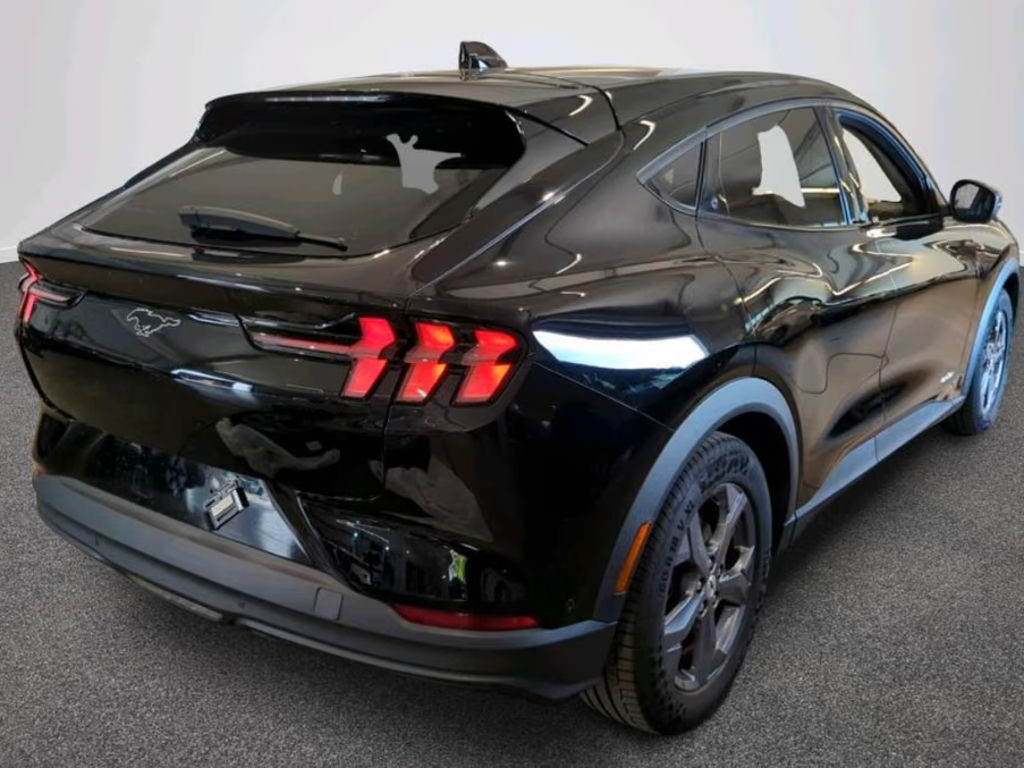 Ford Mustang Mach-E Basis