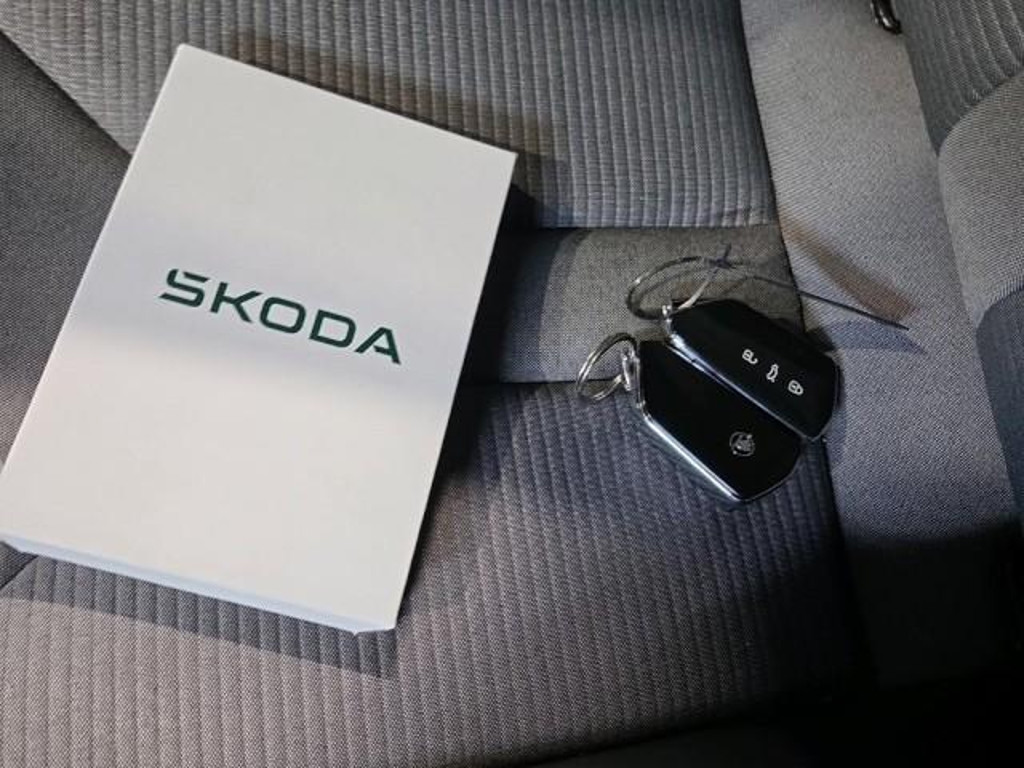 Skoda Enyaq iV
