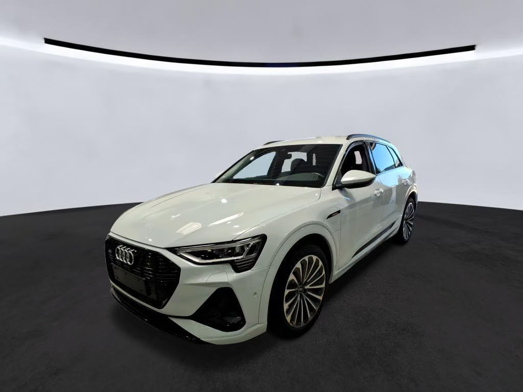 Audi e-tron Ambiente S-Line 50