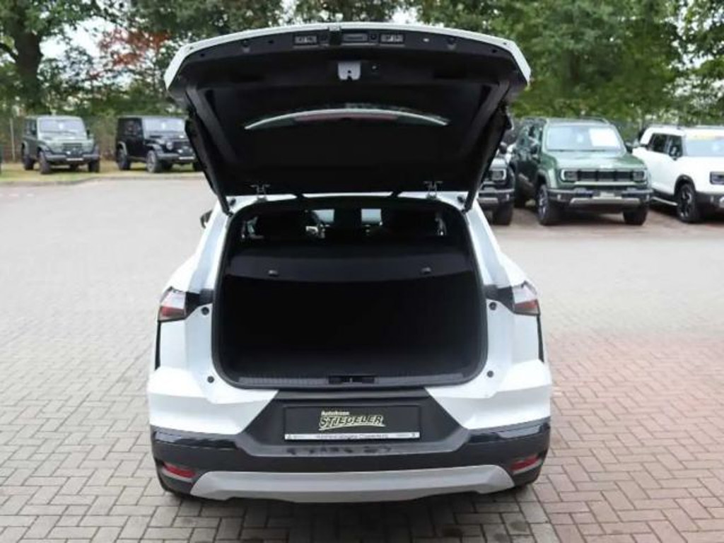 Mitsubishi Grandis