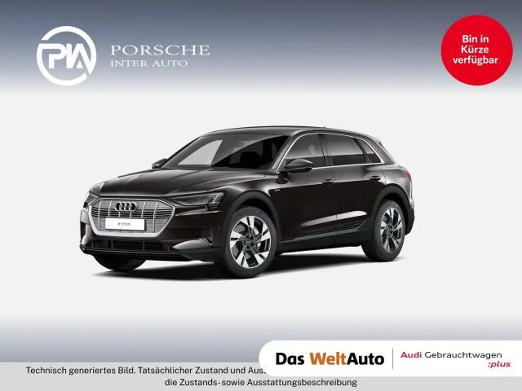 Audi e-tron Quattro Business 55
