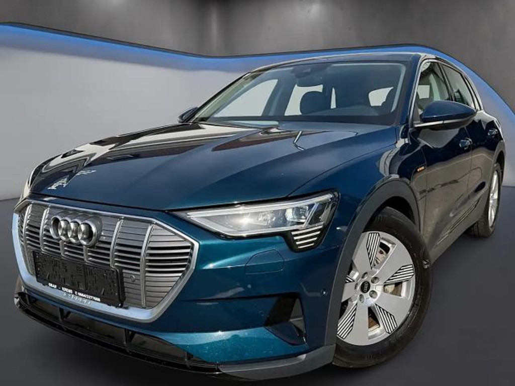 Audi e-tron Quattro Ambiente Business 50