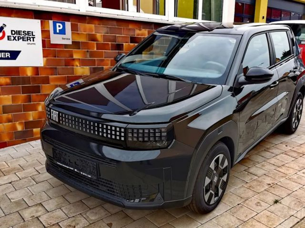 Fiat Grande Panda Icon