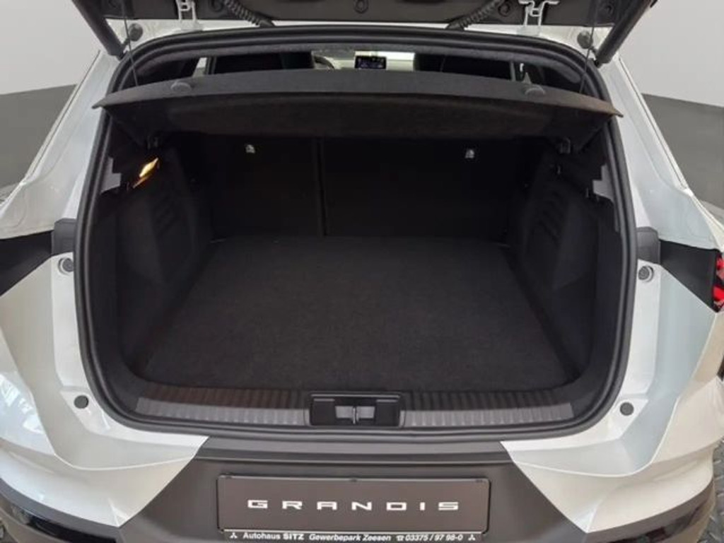 Mitsubishi Grandis