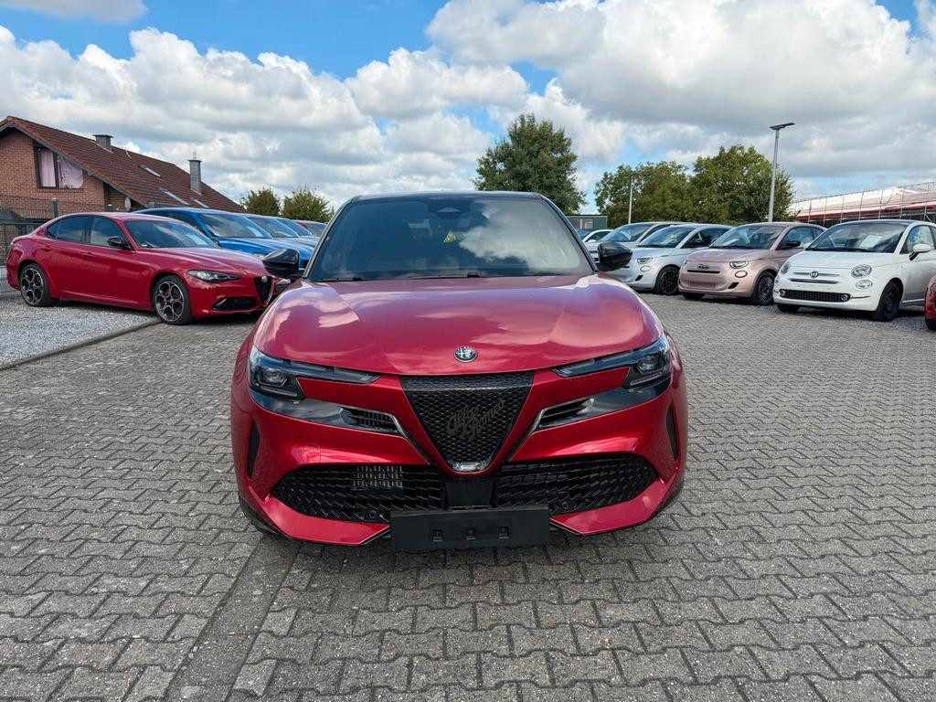 Alfa Romeo Junior