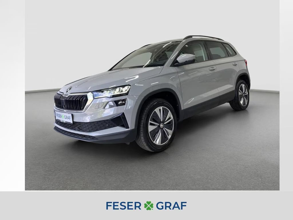 Skoda Karoq Selection