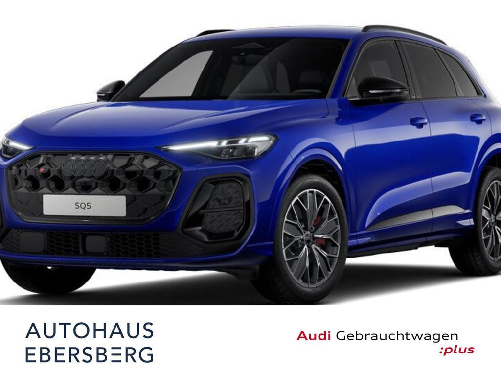 Audi SQ5 TFSI 5JGAR MATRIX Massage Memo* 360Kam AHK