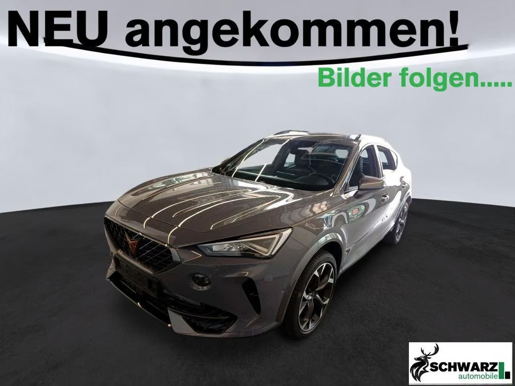 Cupra Formentor 1.5 TSI DSG
