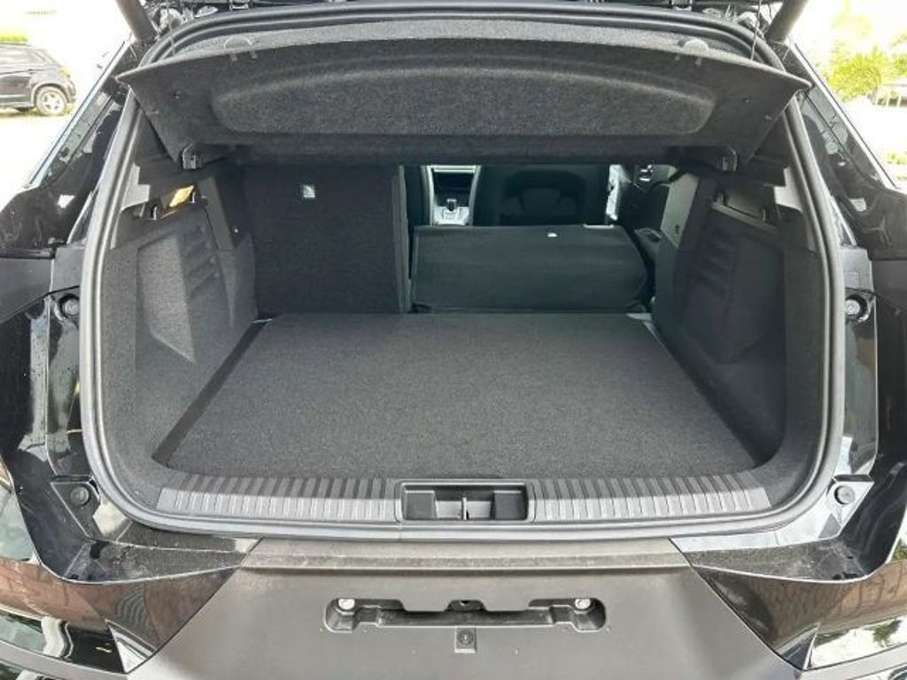 Mitsubishi Grandis