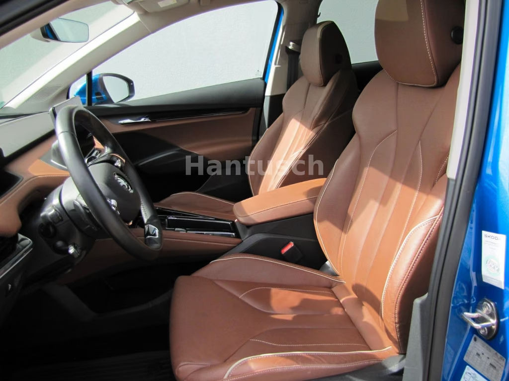 Skoda Enyaq iV