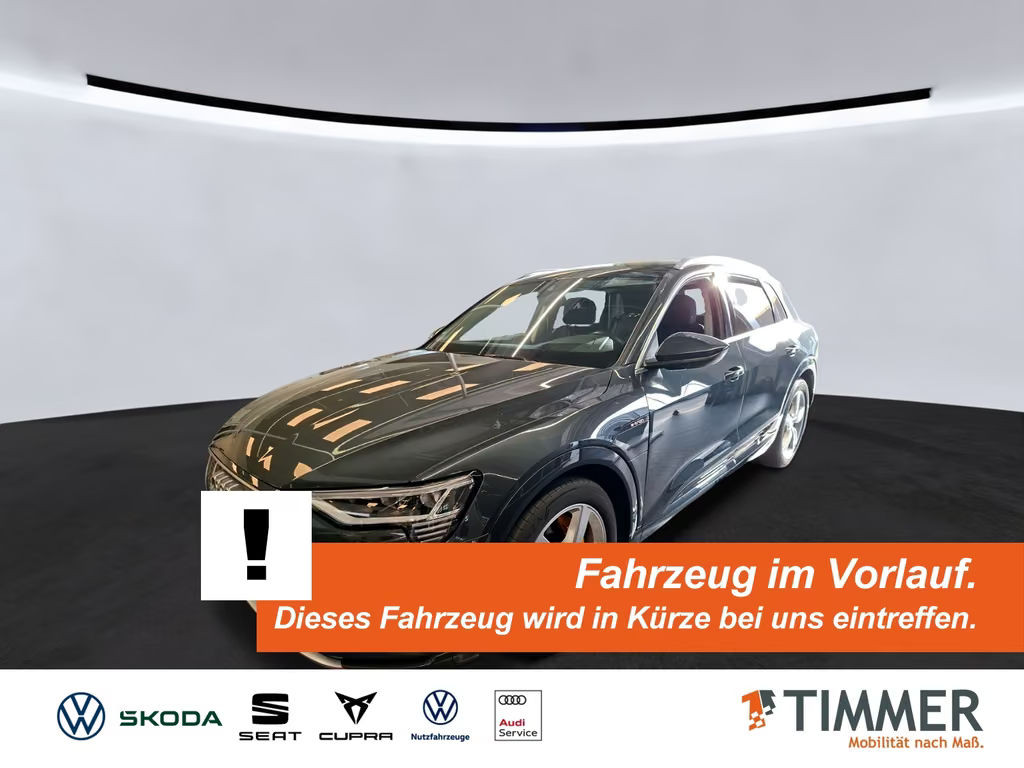Audi e-tron 95 kWh ADVANCED 4x4 +AHK +MATRIX +RKAM +S