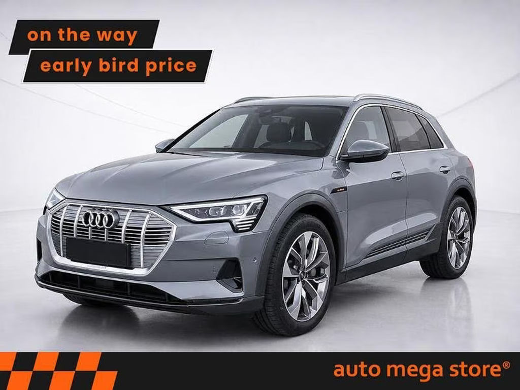 Audi e-tron Quattro Business 55